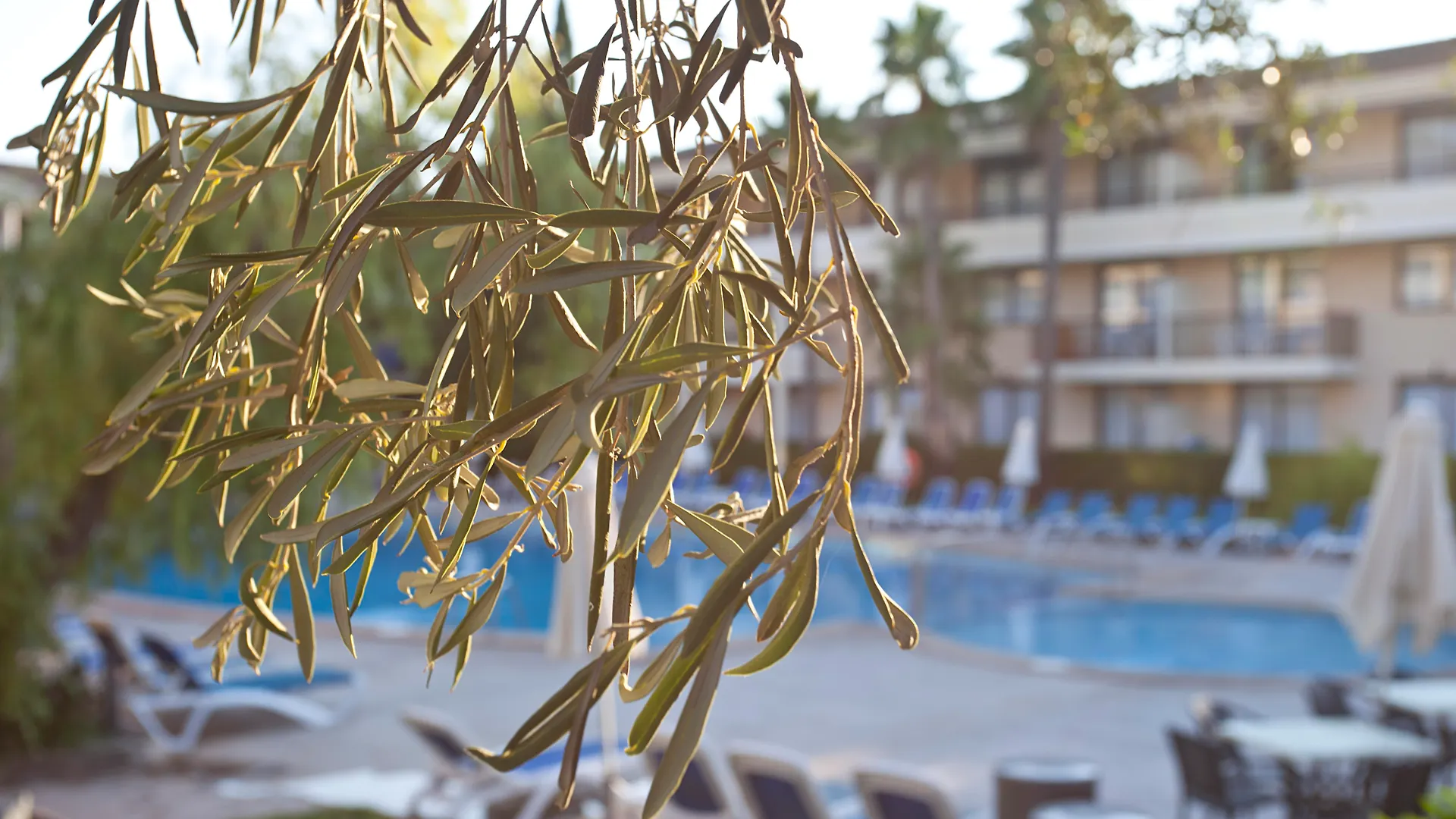**** شقة فندقية بورت دي بوينسا Hotel Bahia Pollensa إسبانيا